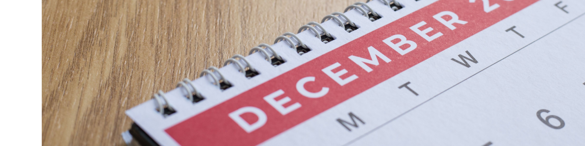 Shutterstock 2284009393