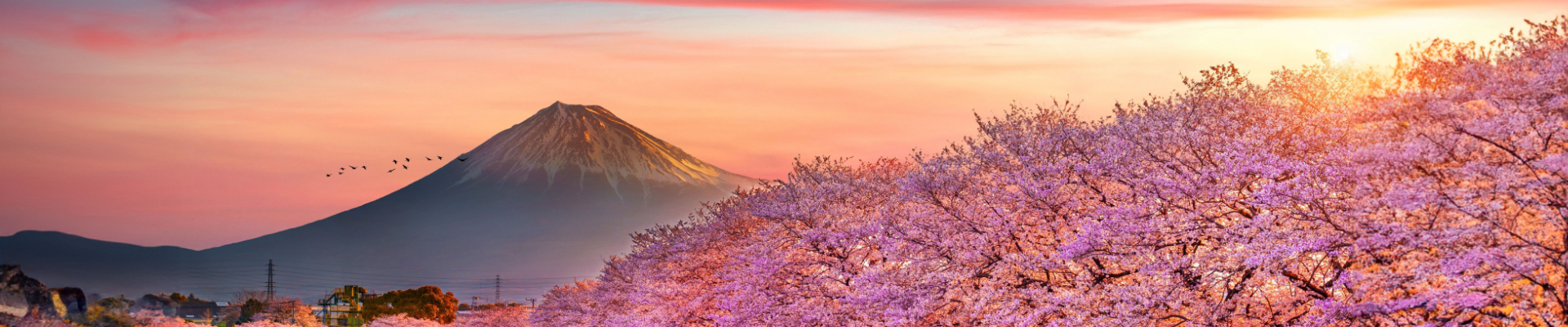 Shutterstock 2376746959 V2