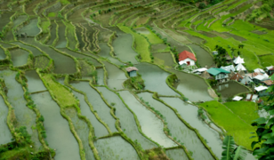 Philippines: BSP (Oct) - An off-cycle rate hike