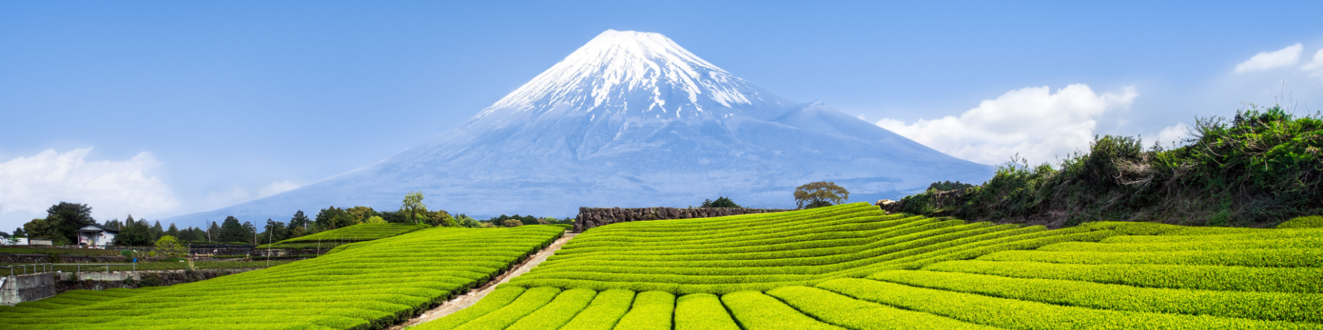 Shutterstock 1330423565